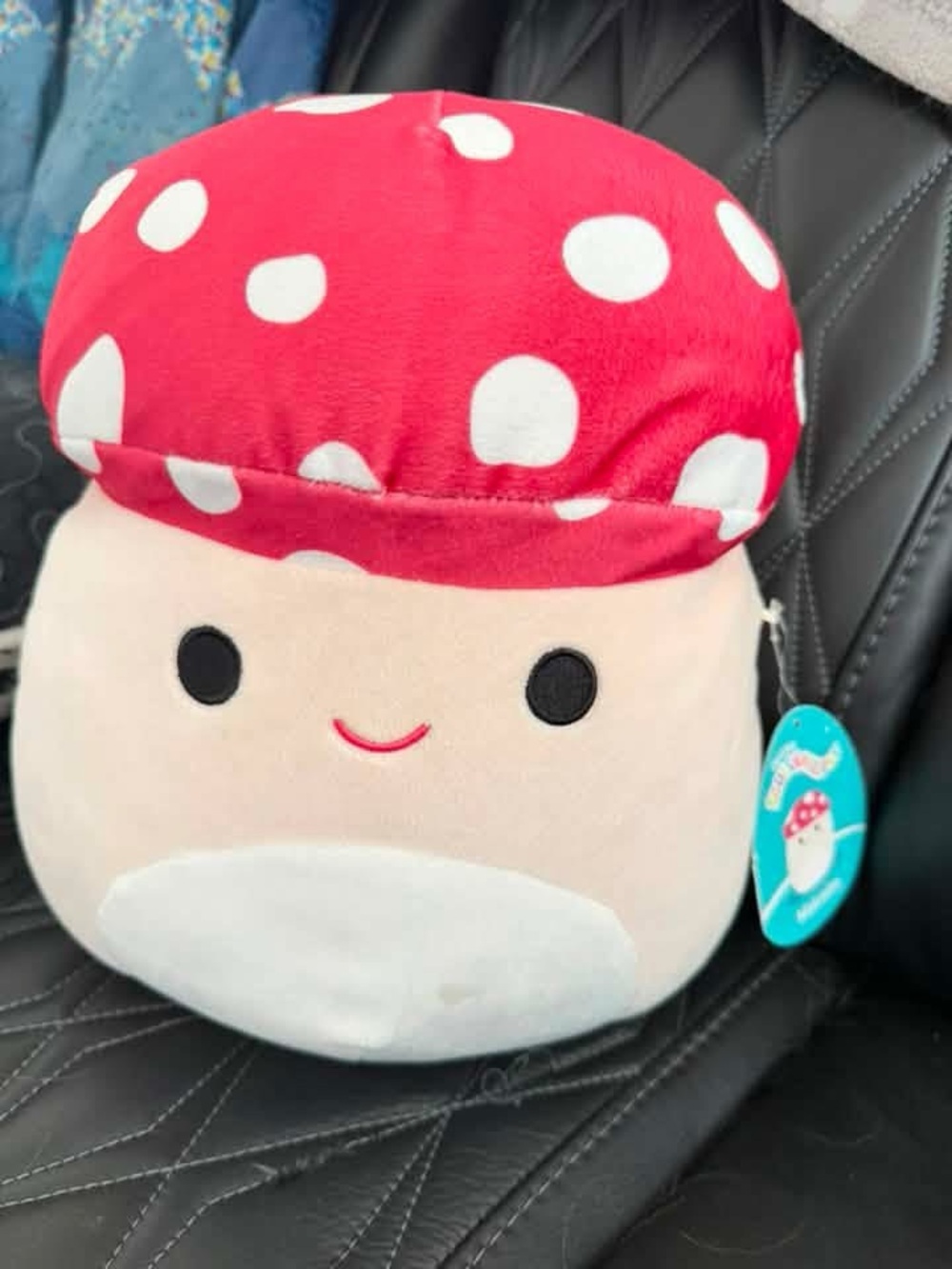 NWT Squishmallow
